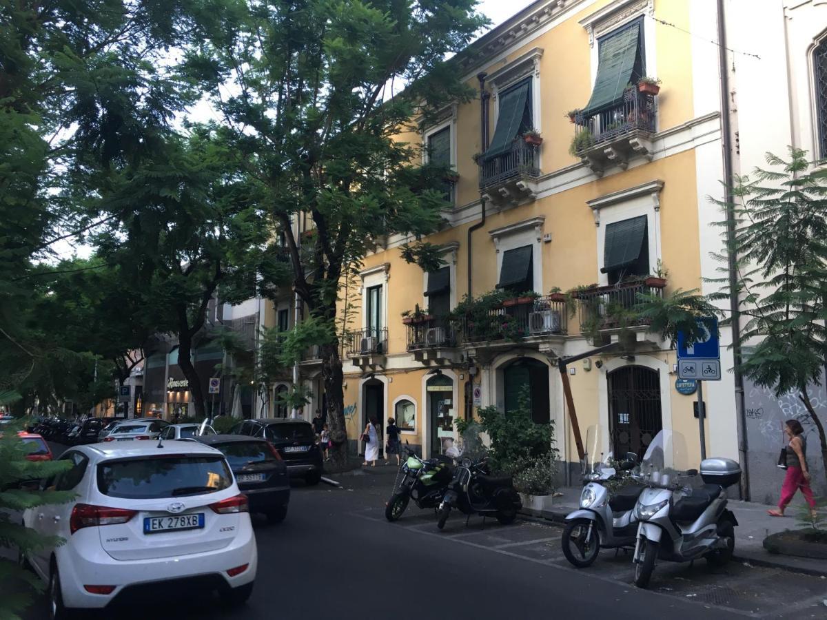 La Casa Di Joant Daire Katanya Dış mekan fotoğraf
